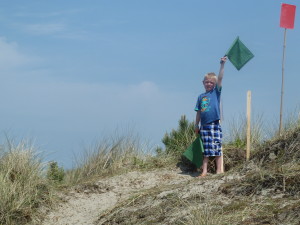 Flag Message Service I